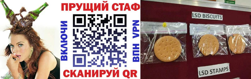 Виды наркотиков купить Кирс Псилоцибиновые грибы  мега как зайти  МЕФ  ГАШ  Cocaine  Alpha PVP  Каннабис 