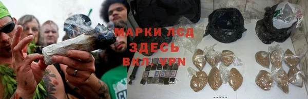 дживик Богородицк
