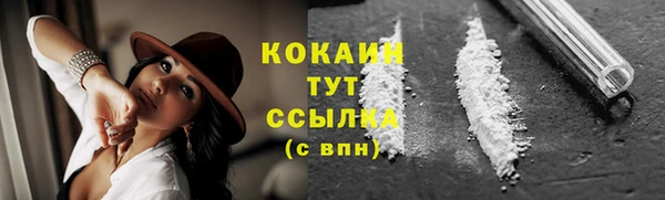 шишки Бронницы
