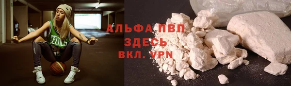 дживик Богородицк