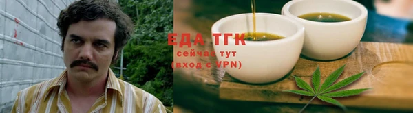 дживик Богородицк