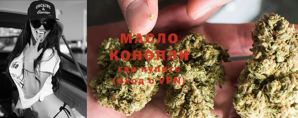 дживик Богородицк