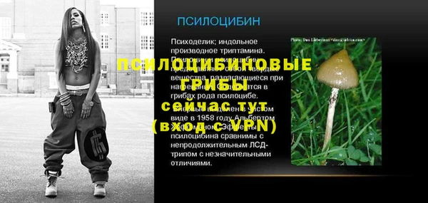 дживик Богородицк
