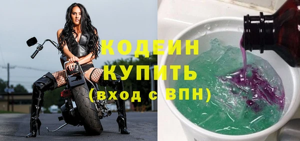 дживик Богородицк