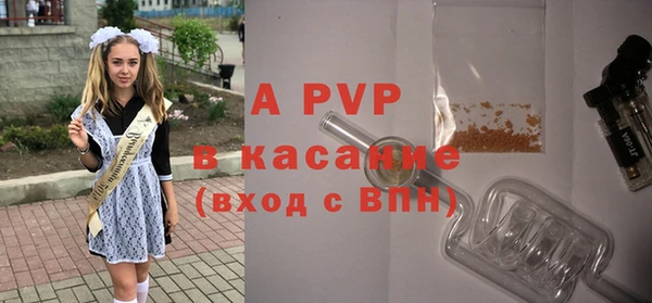 дживик Богородицк