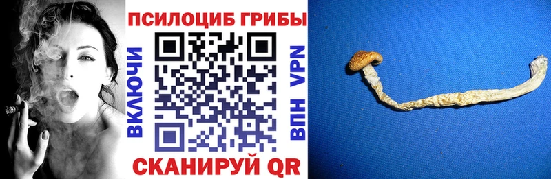Галлюциногенные грибы MAGIC MUSHROOMS  Кирс 